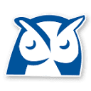 Wise Agent logo