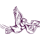 Wise Pelican logo